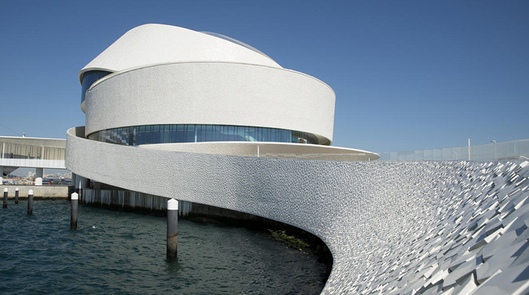 Single Portfolio Image