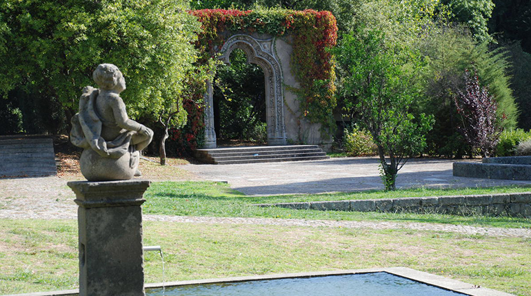 Single Portfolio Image